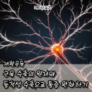 수축 이미지