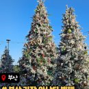 우아한바다 | [부산 맛집]🎄기장 아난티 ‘다모임’ 뷔페 후기｜크리스마스트리+바다뷰+우아한 식사,가족모임으로 딱!