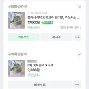 서울 커플스냅 웨딩스냅 추천 &#39;서록 &amp; 소소스냅&#39;