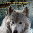 정글북 이미지
