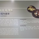 맑은샘한의원 이미지