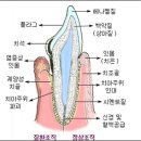 오렌지건강센터