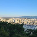 파란행정사 이미지