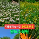 완도 여행 5월 가볼만한곳 완도수목원 실시간 방문기