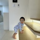 어코브 세종(ACOV) | [공지] 대전 근교 온수 풀빌라 [어코브 세종] executive pool 객실 후기