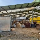 한우축사 이미지