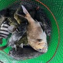 오즈실내바다 낚시터 이미지