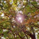 선녀바위-쉼터 이미지