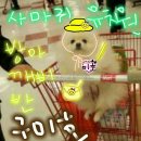 미호유치원 이미지