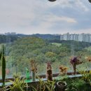 LG자이공인중개사사무소 이미지