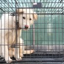 아리역로 이미지