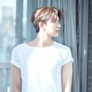 에반 카카오 검색결과