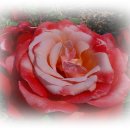 송도 해돋이공원 이미지