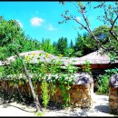 김 약 국 이미지