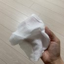 너와펫(PET) | 강아지매트 에코폼 "도그자리롤매트" + "펠트바구니" 솔직후기