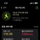 오늘부터 운동PT 이미지