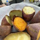 수농장 | 아이와 딸기체험과 실내놀이터를 키즈카페처럼 즐길 수 있는 평택 삼촌농장 후기