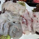 진복호 - 강화군 해안남로 488 | 진복호