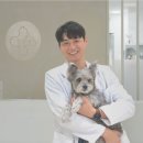 에이드동물병원 이미지