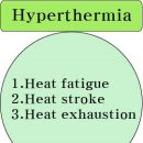 경희피레토한의원 이미지