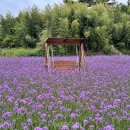이(e)-좋은한우 투어코리아