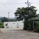 음봉생태찌개 이미지