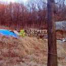 원미농장 이미지