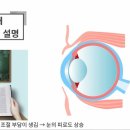 중앙콘택트. 안경 이미지