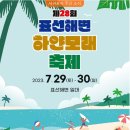 표선 이미지