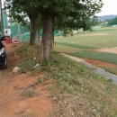 동문1동주민센터 이미지