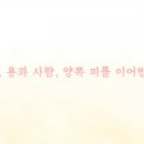 글레어