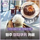 키다리아저씨 동물병원 | [원주혁신도시신상카페]애견동반 마지쿠키 카페