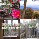 산새 | 제주서귀포가볼만한곳 돌낭예술원 겨울동백관광지