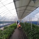 공주무릉펜션 이미지