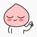 육회하게 티스토리