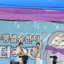 동해시-26 | 동해 무릉별유천지 라벤더 축제 다녀왔던 후기 | 태군노래자랑 묵호여행 묵호 가볼만한곳