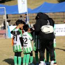 청양공설운동장 이미지