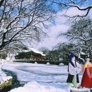 설경 이미지