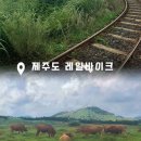 가을바람 | 제주도 레일바이크 후기 가을 바람맞으며 즐기는 제주 추천 여행 코스