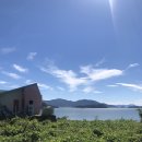 고성식당 이미지