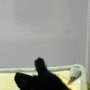 로던트클럽 강서마곡점 이미지