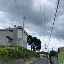 성호로 8길 이미지