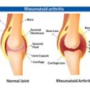 등보당한의원 이미지