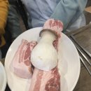 팔팔한돼지 이미지