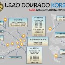 팀라이온 이미지