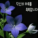 주식회사플러스 연산점 | 오랫동안 건강하게 살 수 있다”는 말은 단순한 희망이 아니라, 건강한 습관과 긍정적인 태도이다