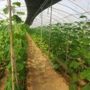 이강인농장 이미지