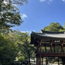 돌섬선어 | 거 잔뜩 먹는 미식가 꿈나무의 여수여행(동서식당, 돌섬선어, 순이네게장, 바다김밥, 선암사, 오동도...