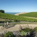 감미음식 이미지