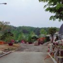 파인 관광농원 이미지